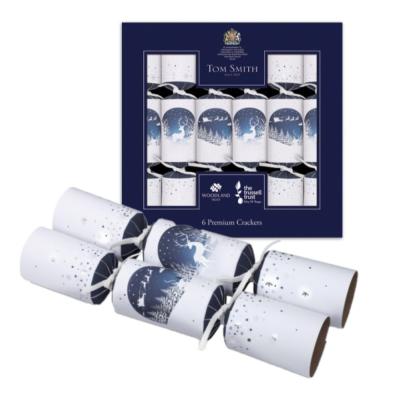 Christmas Cracker - Premium Silver 6 x 14"