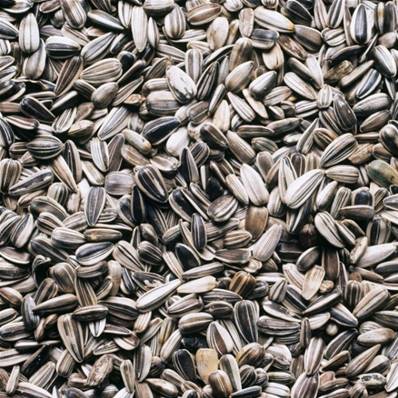 Sunflower Seeds (with Shell)