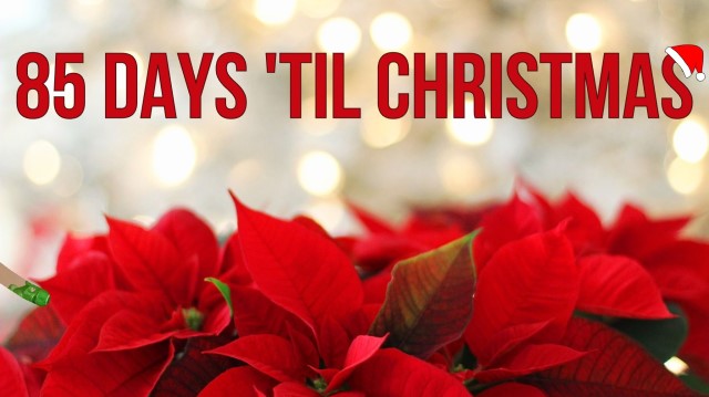 85 Days 'Til Christmas