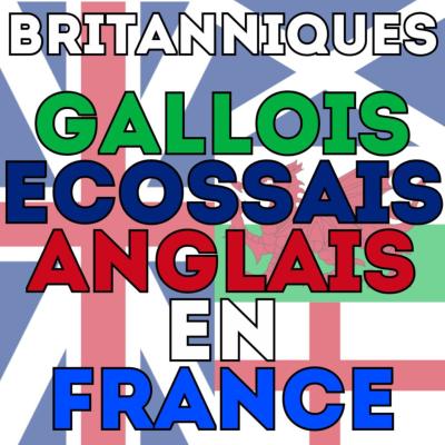 Quels sont les magasins anglais en France ?