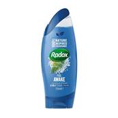 Radox Shower - Awake for Men 