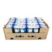 Mixed Fruit Flavour Yoghurt Case