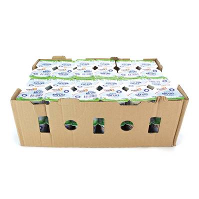 Natural Yoghurt Case