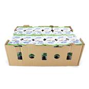 Natural Yoghurt Case